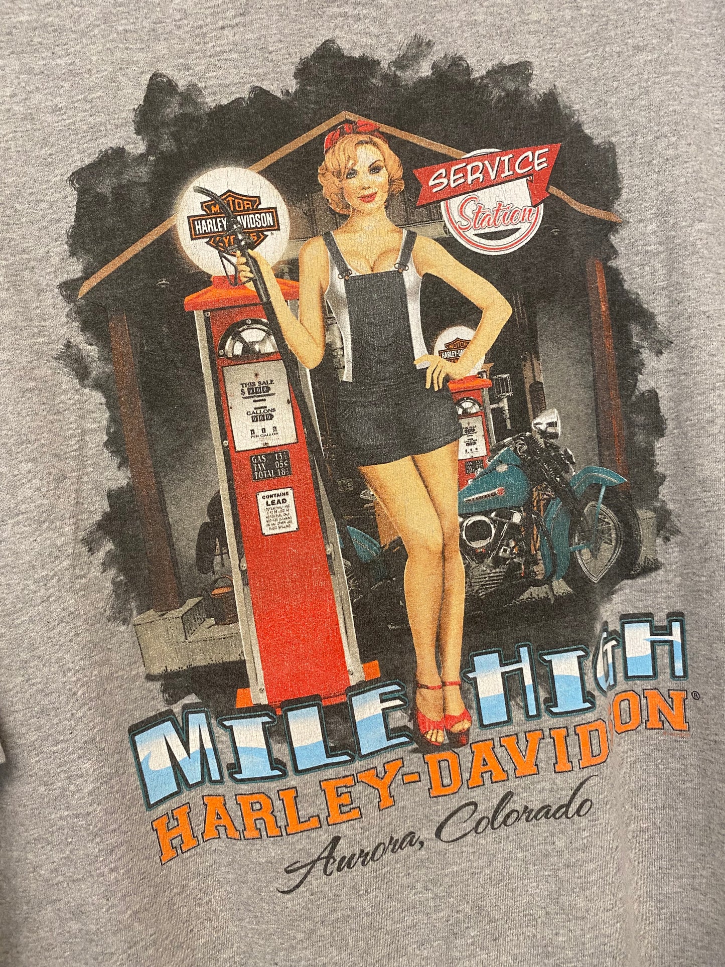 【古着】HARLEY DAVIDSON Tee XL