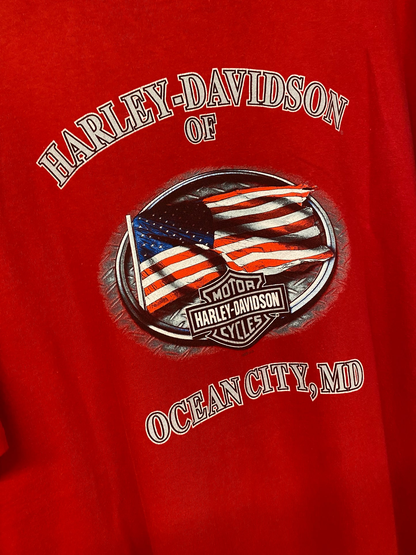 【古着】HARLEY DAVIDSON Tee XL