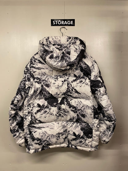 【古着】THE NORTH FACE NOVELTY CHALLENGE AIR JACKET XL